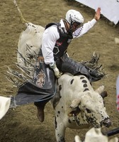 Montana Fair