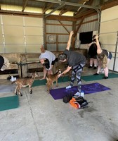 Gloucester County 4-H Fair
