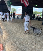Hunterdon County Fair