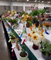 Dane County Fair