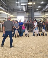 Dane County Fair