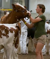 Dane County Fair