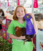 Somerset County 4-H Fair