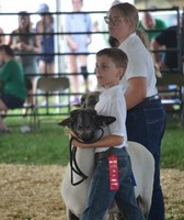 Somerset County 4-H Fair