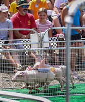 New Jersey State Fair