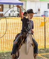 Othello Fair