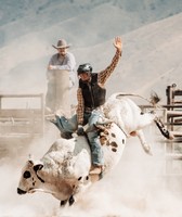 Chelan County Fair