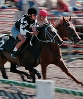 Ferry County Fair