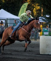 Whidbey Island Fair