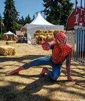 Whidbey Island Fair