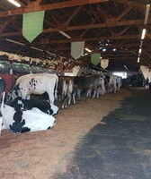 Southwest Washington Fair