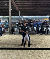 Red River Valley Fair