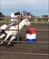 McLean County Fair
