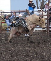 McLean County Fair