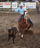 Central Wyoming Fair