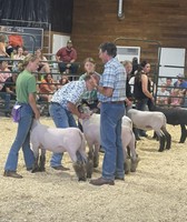 Northern Wisconsin State Fair