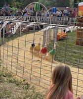 Northern Wisconsin State Fair