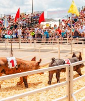 Wisconsin State Fair