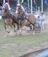 Polk County Fair