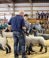 Polk County Fair