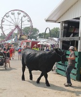 Rock County 4-H Fair