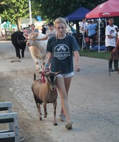 Rock County 4-H Fair