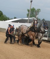 Rusk County Fair