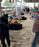 North Iowa Fair