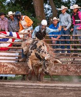 Ida County Fair