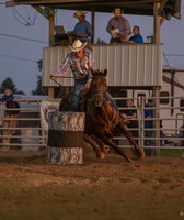 Ida County Fair