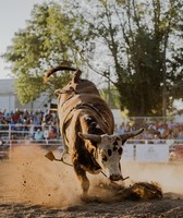 Sioux County Youth Fair