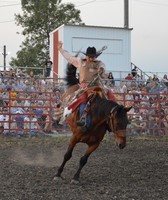 Wright County Fair