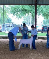 Moultrie-Douglas County Fair