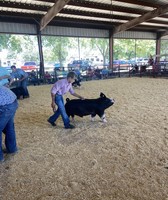 Moultrie-Douglas County Fair