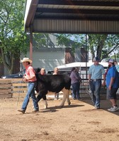 Moultrie-Douglas County Fair