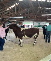 LaSalle County Fair