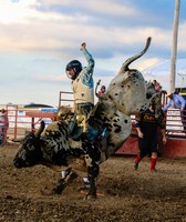 Lee County Fair