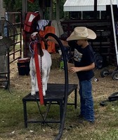 Massac County Youth Fair