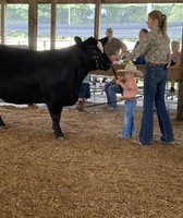 Massac County Youth Fair