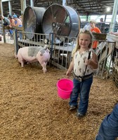 Massac County Youth Fair