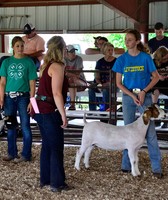 Clay County Fair