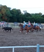 Franklin County Fair