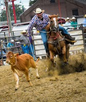 Indiana State Fair