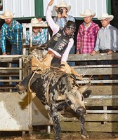 Illinois State Fair