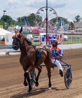 Illinois State Fair