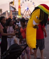 Illinois State Fair