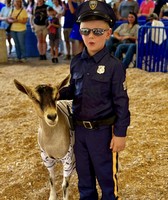 Great New York State Fair