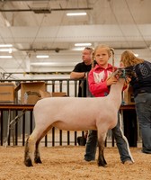 York State Fair