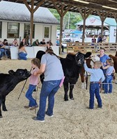 Windsor Fair