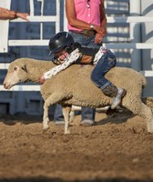Wyoming State Fair